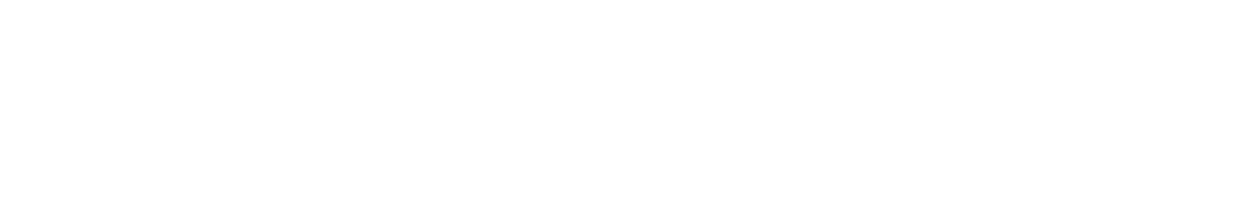 Developer(s)